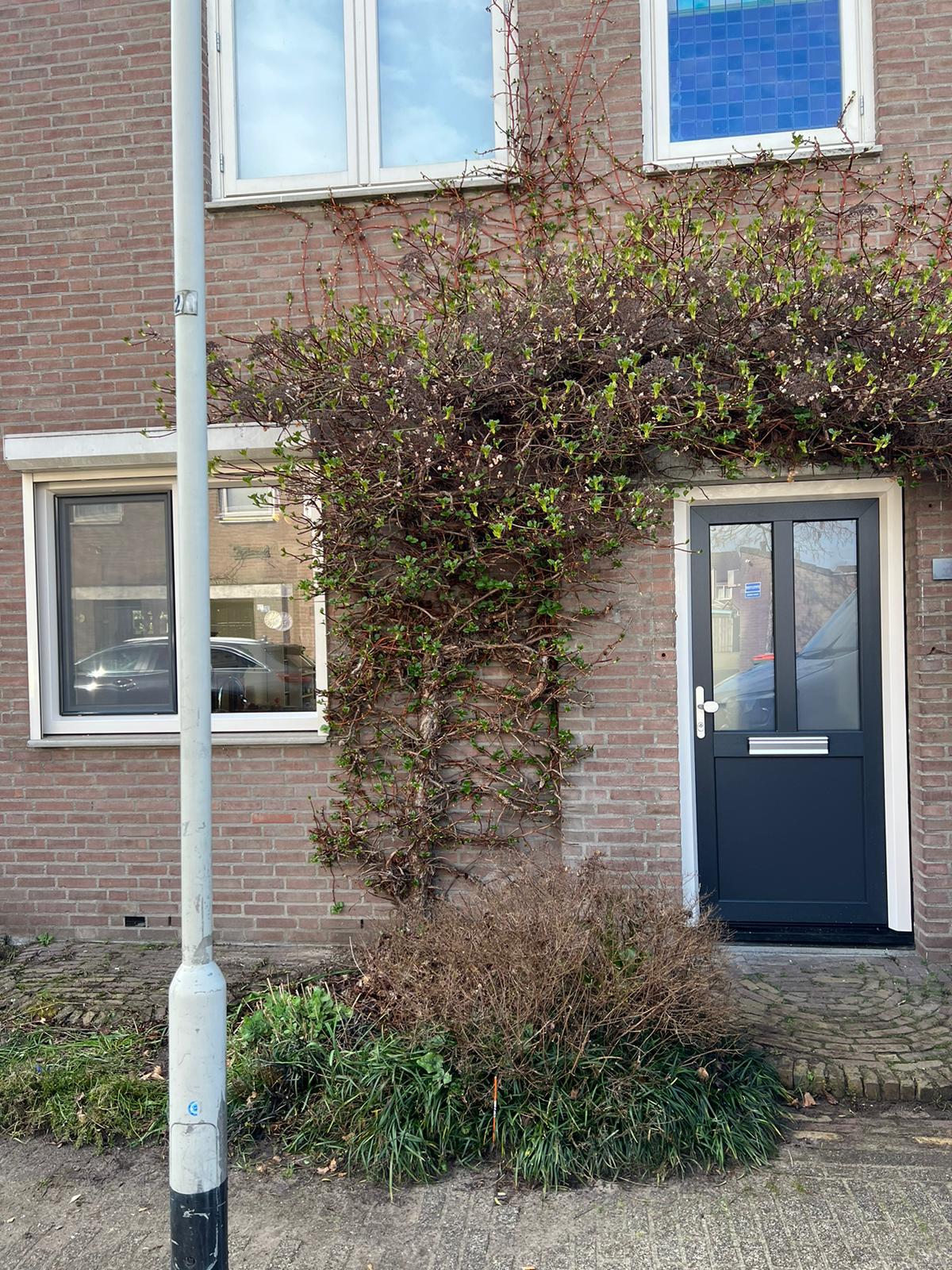 Kunsstof deur van AMPA in Breda